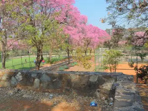 Carlos Antonio Lopez Park