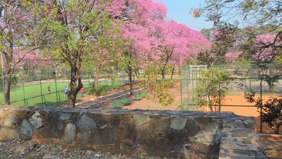 Carlos Antonio Lopez Park
