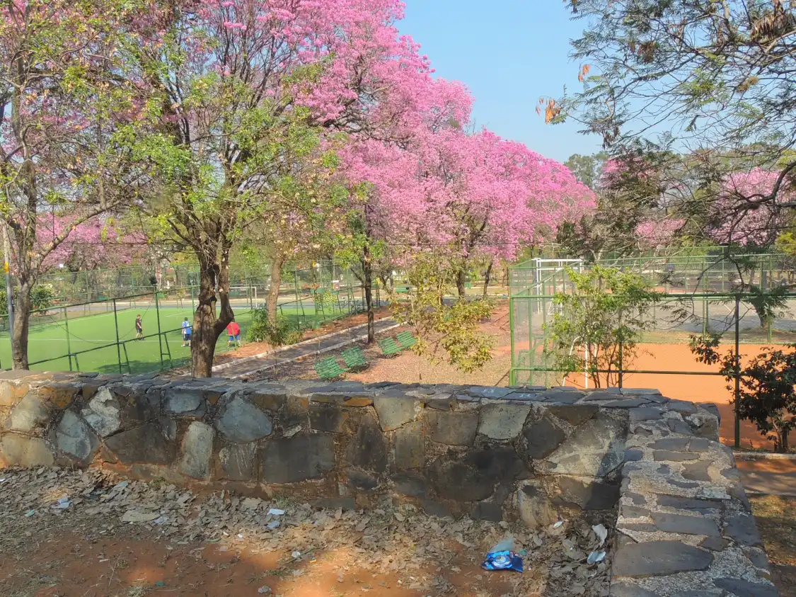 Hotels near Carlos Antonio Lopez Park