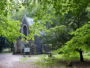 Brandon Country Park