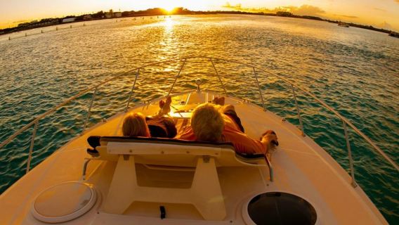 Island Vibes Tours