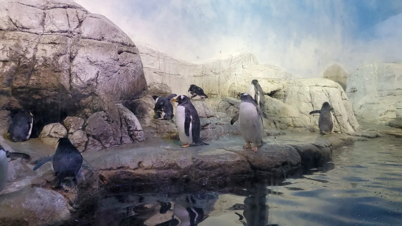 3_Indianapolis Zoo