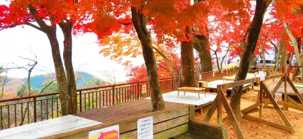 Các khách sạn gần Ga Tochigi
