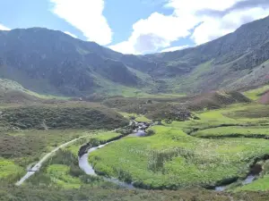 Corrie Fee