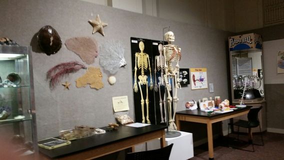 Louisiana Art & Science Museum