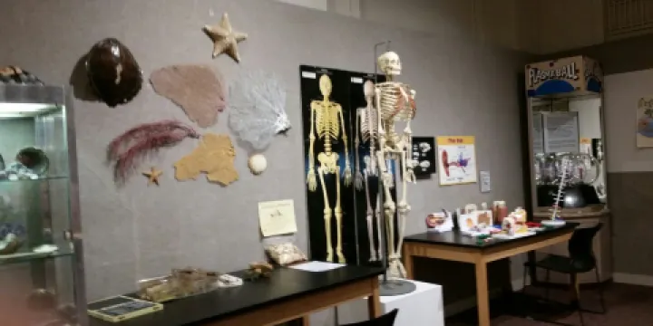 路易斯安那藝術科學博物館