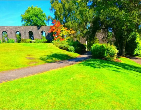 奧本 自由行套票