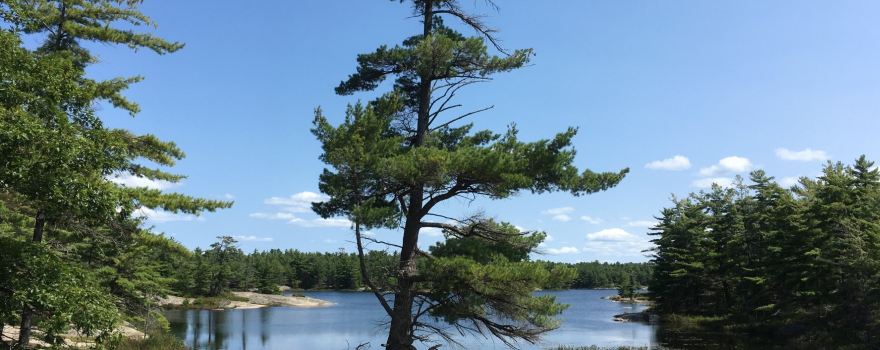 Georgian Bay Islands National Park