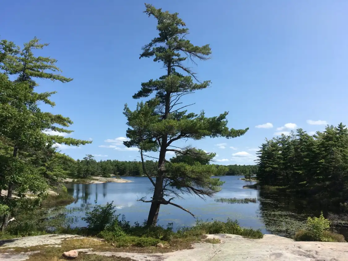喬治亞灣羣島國家公園附近的飯店