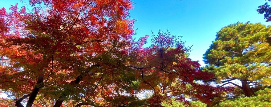 Kokubunji
