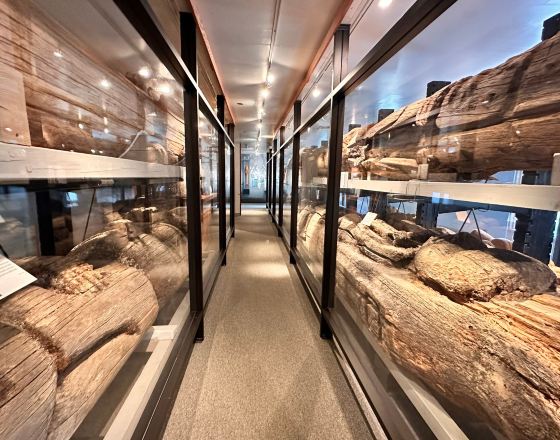 凱奇坎 自由行套票