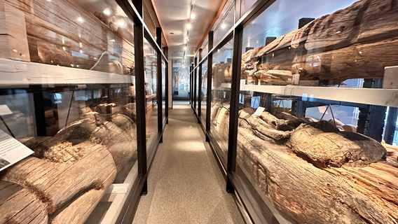 Totem Heritage Center