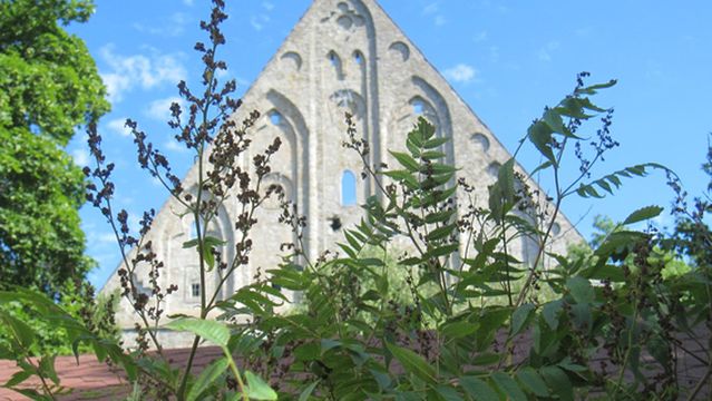 Convent of St. Bridget (Pirita Klooster)