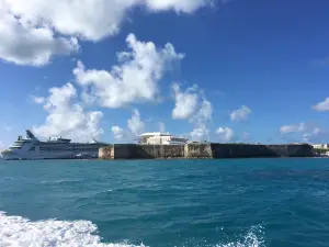 Snorkel Bermuda