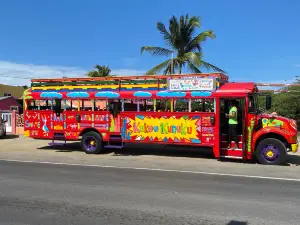 Kukoo Kunuku