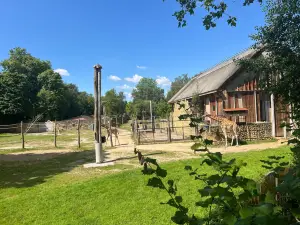 ZOO Planckendael