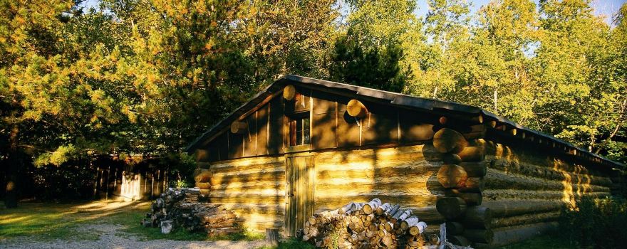 Forest History Center