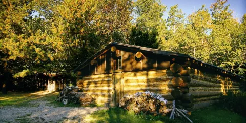 Forest History Center