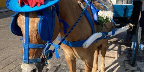 Centro Cultural y Artesanal Izamal