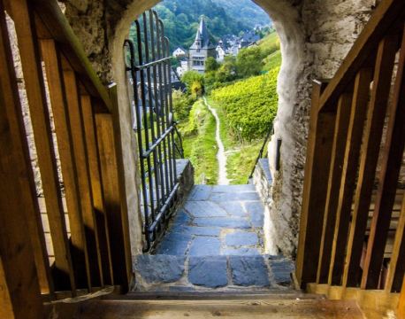 巴哈拉赫 自由行套票