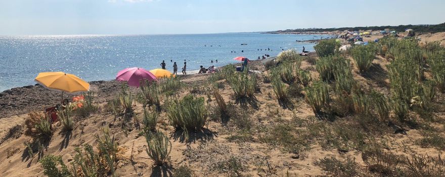 Spiaggia Salina dei Monaci