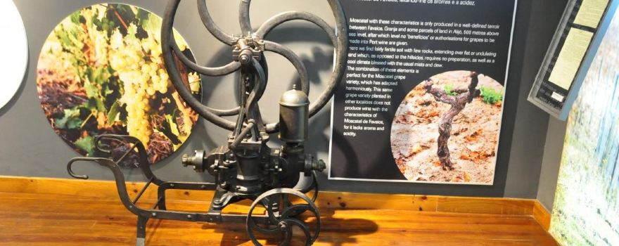 Nucleo Museologico Favaios, Pao e Vinho