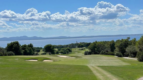 Alcudia