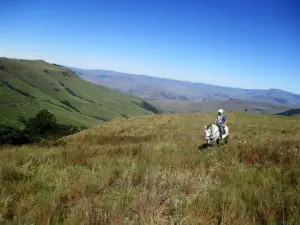 Stormy hill horse trails & Accommodation