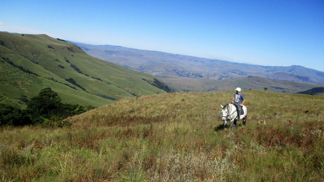 Stormy hill horse trails & Accommodation