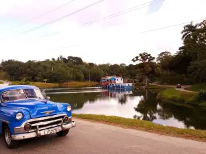 Complejo Las Terrazas