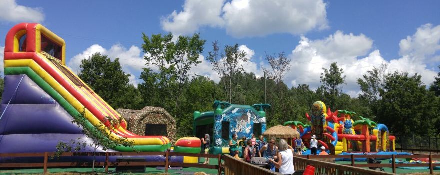 The Wild Animal Park
