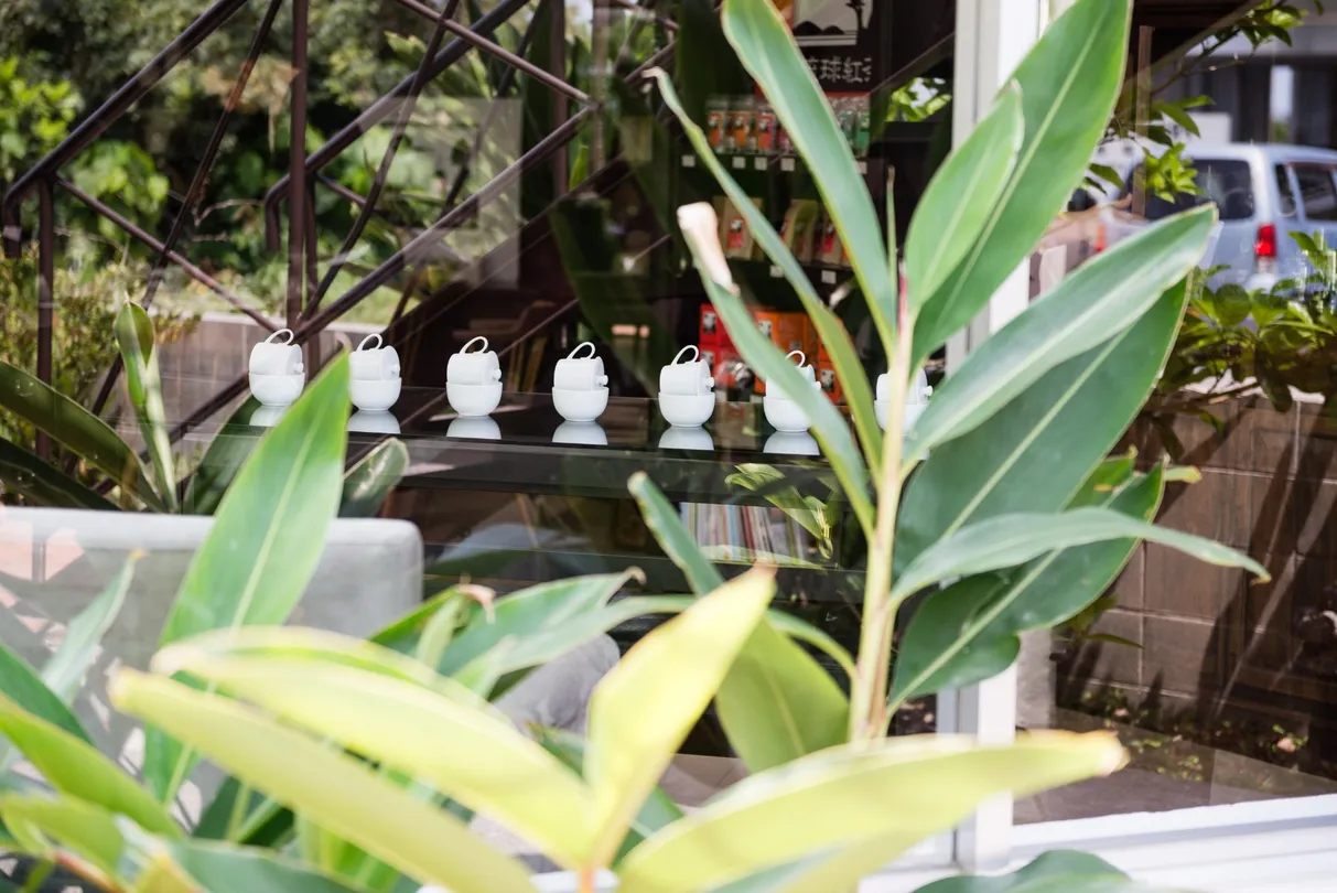 3_Okinawa Tea Factory