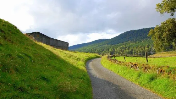 Dunfallandy Stone
