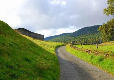 Dunfallandy Stone