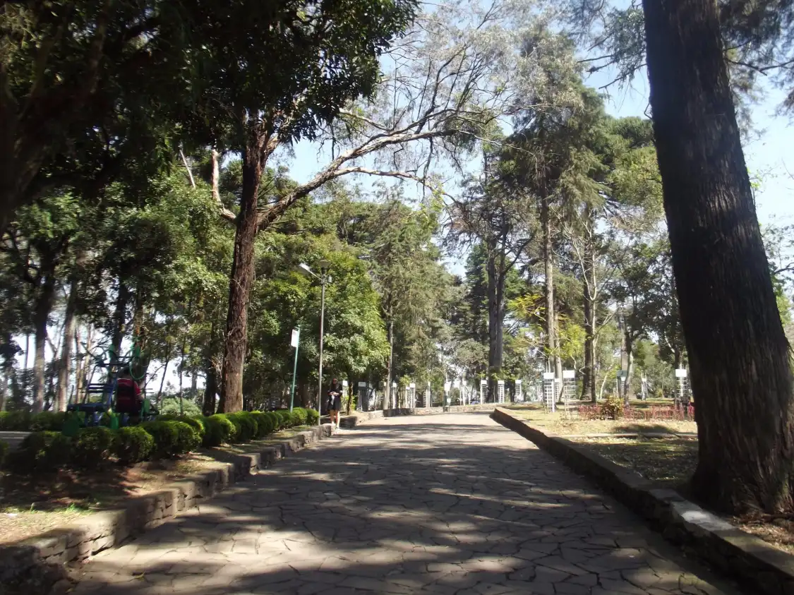 Hotels near Parque Cinquentenario