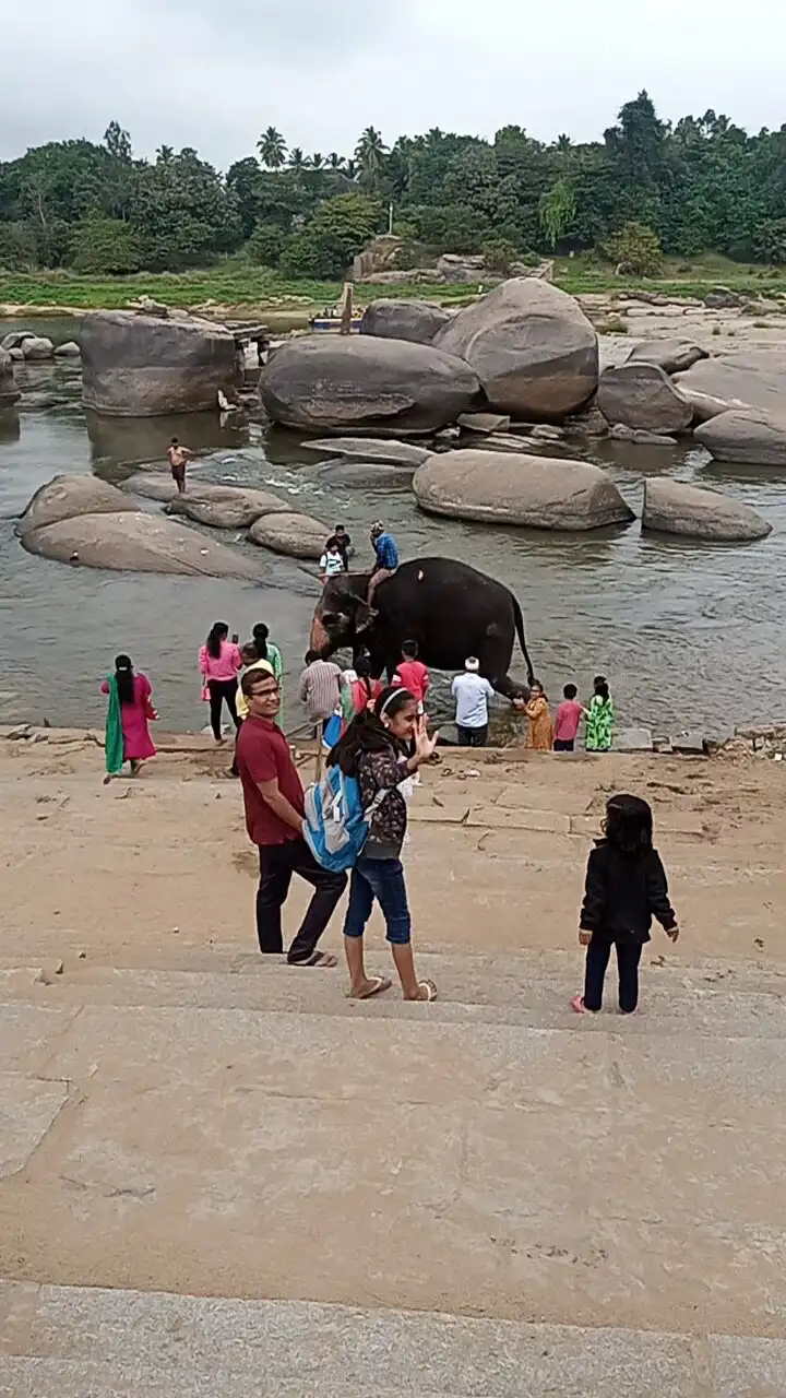 Hotels near Lakshmi the Elephant