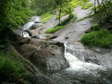 Shendurney Wildlife Sanctuary