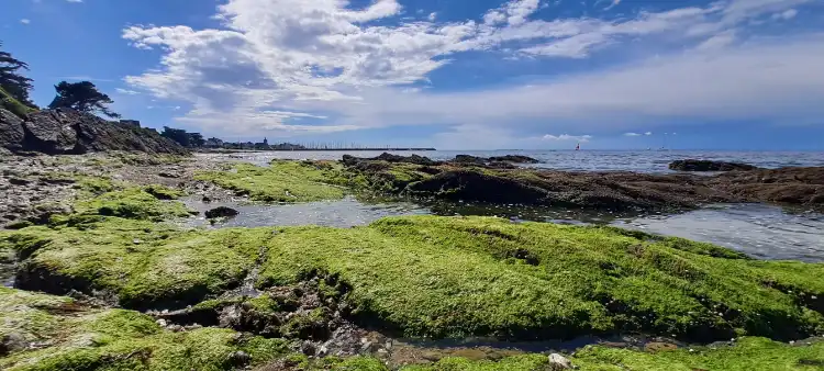 Các khách sạn ở Piriac-sur-Mer