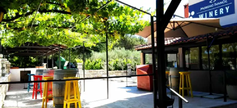 Hotels in Novigrad
