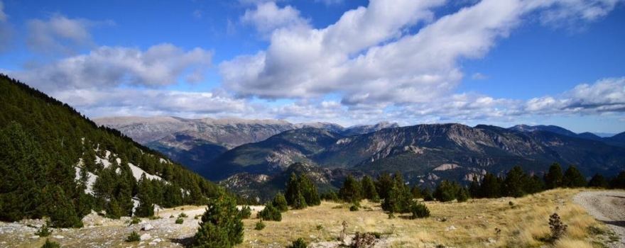 La Coma i la Pedra