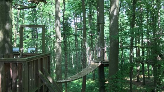 Kletterwald Giessen