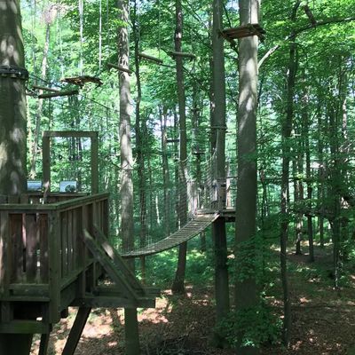 Kletterwald Giessen