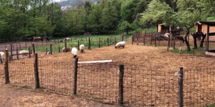 Silverado Fattoria Arrighini