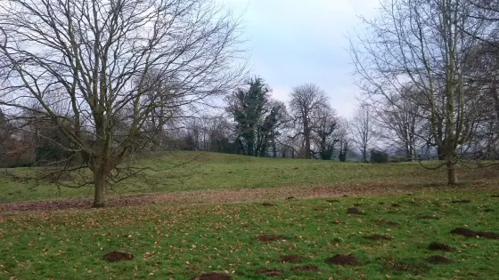 Deddington Castle