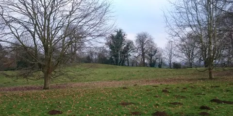 Deddington Castle