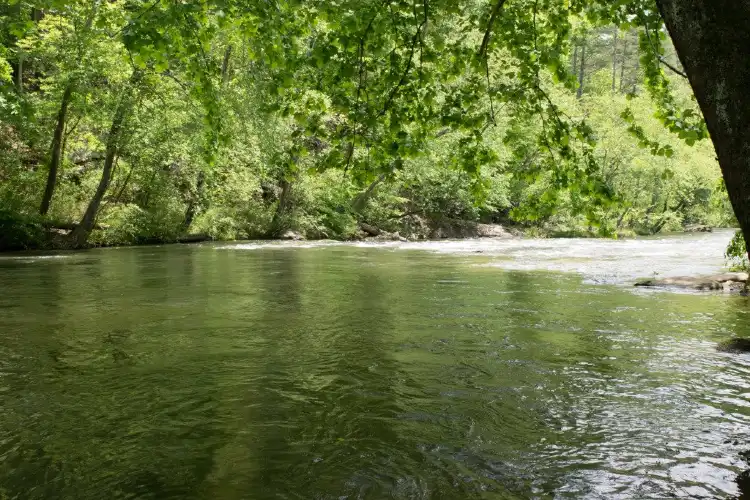 فنادق في Rutherford County