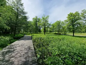 Park Zdrojowy