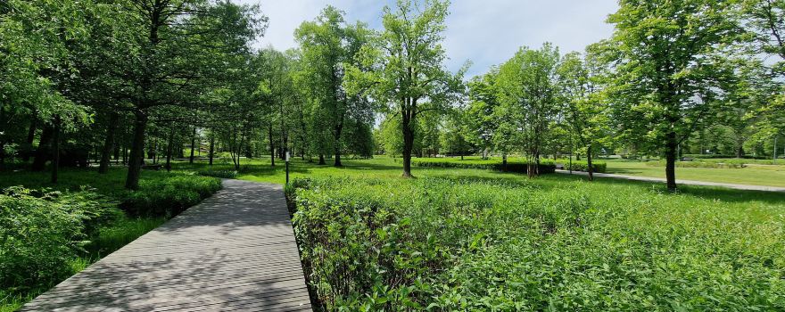 Park Zdrojowy