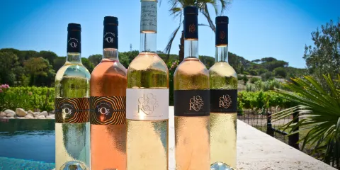 Vignoble du Clos des Roses