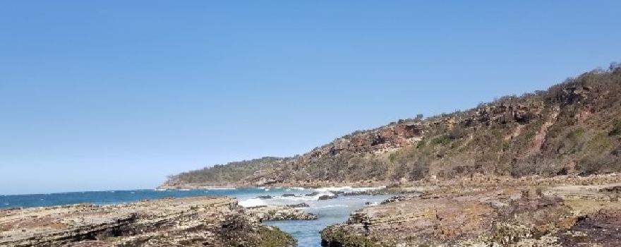 Camden Head